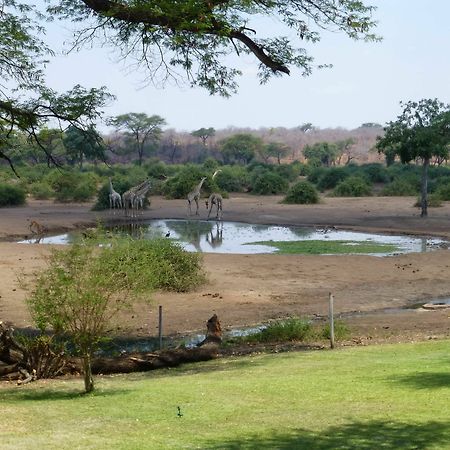 Elephant Valley Lodge Kasane Exterior photo